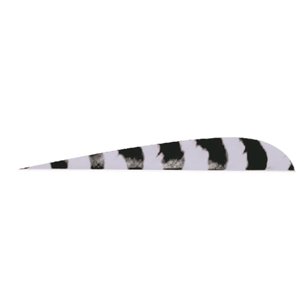 Trueflight Parabolic Feathers Barred Grey 4 in. RW 100 pk.