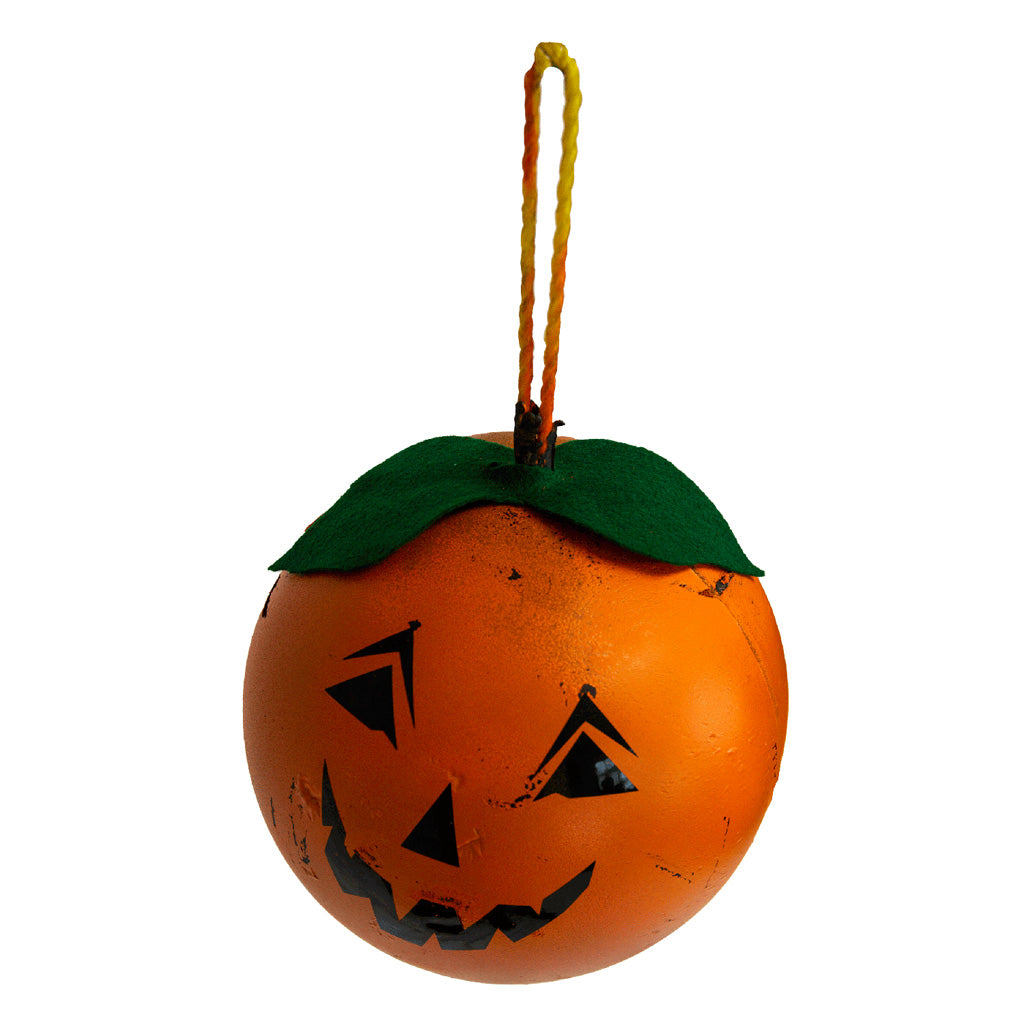 Real Wild Halloween Pumpkin Target Kit