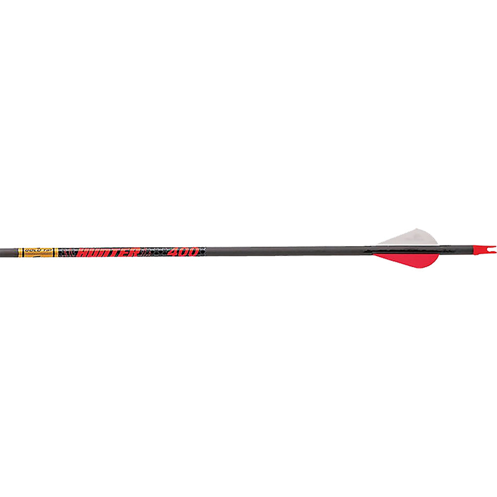 Gold Tip Hunter Arrows 300 Raptor Vanes 12 pk.