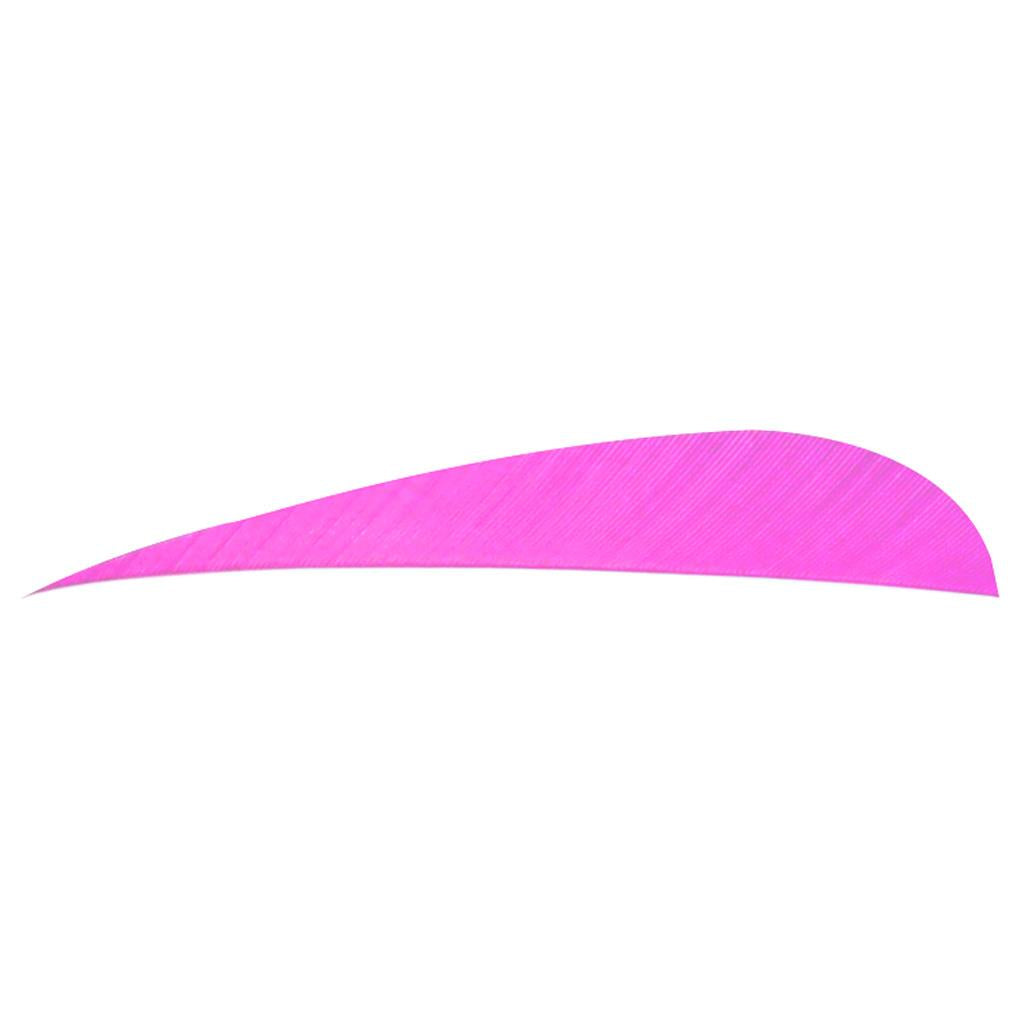 Trueflight Parabolic Feathers Pink 4 in. RW 100 pk.